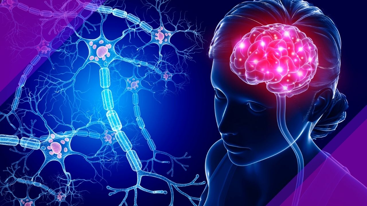 image of blue brain neurons