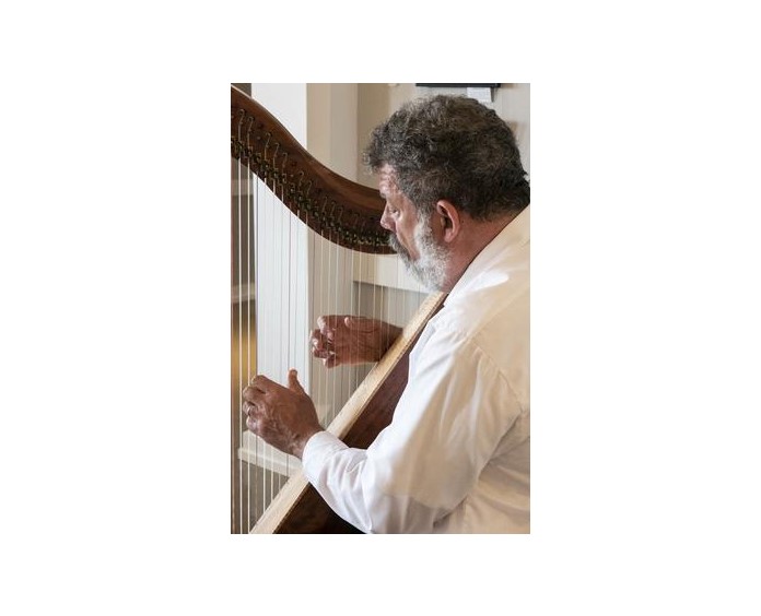 person playing celtic harp