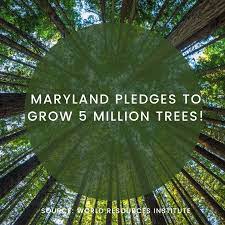 MDDNR Plant 5 Million Trees