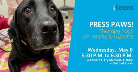 Therapy dogs for Teens and Tweens!