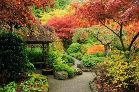 Asian Garden