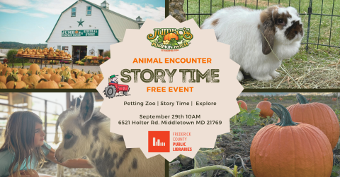 Jumbo's pumpkin patch 