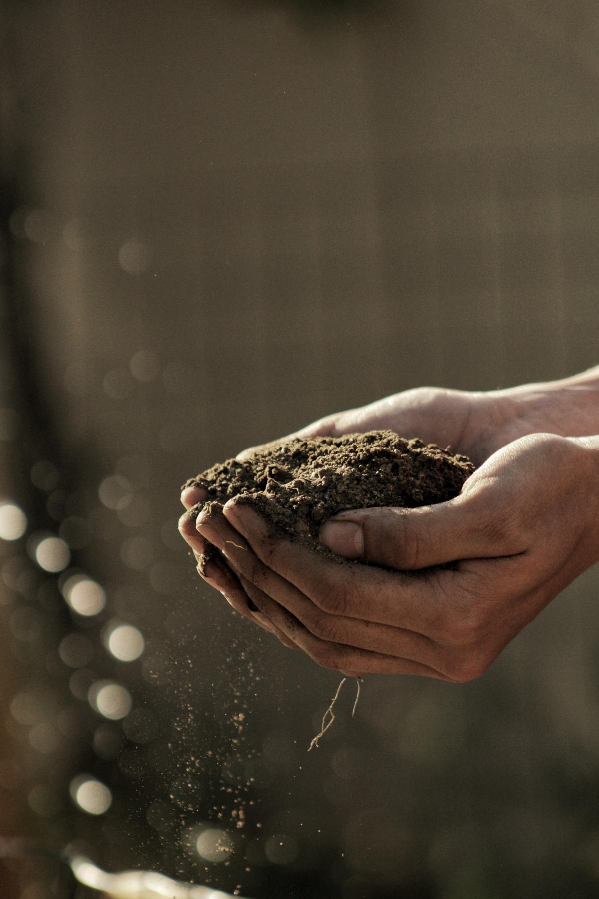 hands holding rich, dark composted soil