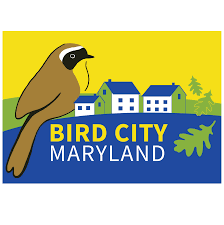 Bird City Logo