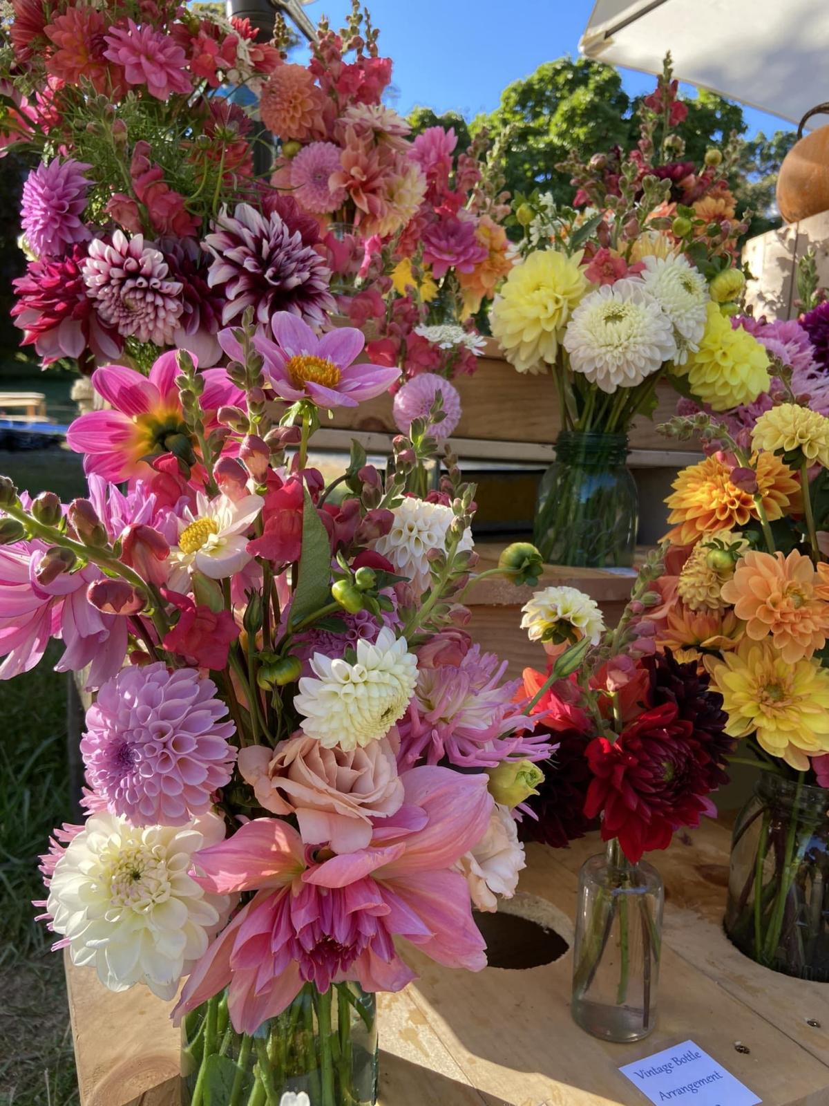 cut flowers